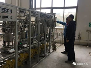 新辉公司引领创新风潮 环保型厨卫及日用杂品研发即将填补国内行业空白