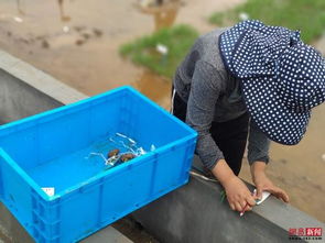 从海水稻到厨卫杂品 科技创新的多元探索与实践