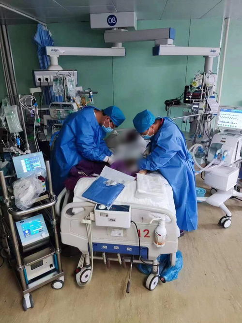 从厨房到生命线 国产急救转运型ECMO实现猝死救治新突破