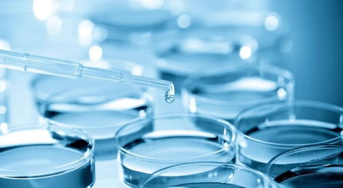 港交所上市未满一年，康希诺再战科创板 研发高投入背后的商业化困境